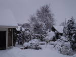 besneeuwd